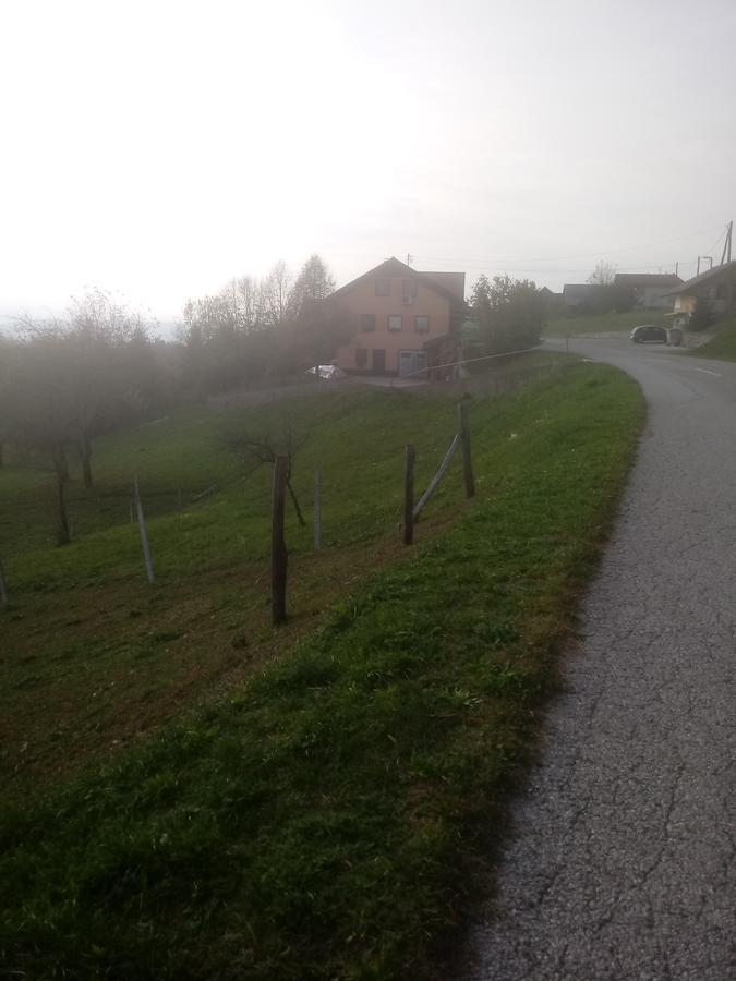 Bad&Breakfast Zilje Bed & Breakfast Vinica Exterior foto
