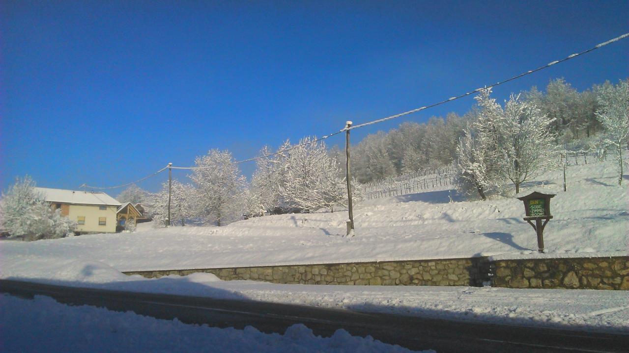 Bad&Breakfast Zilje Bed & Breakfast Vinica Exterior foto
